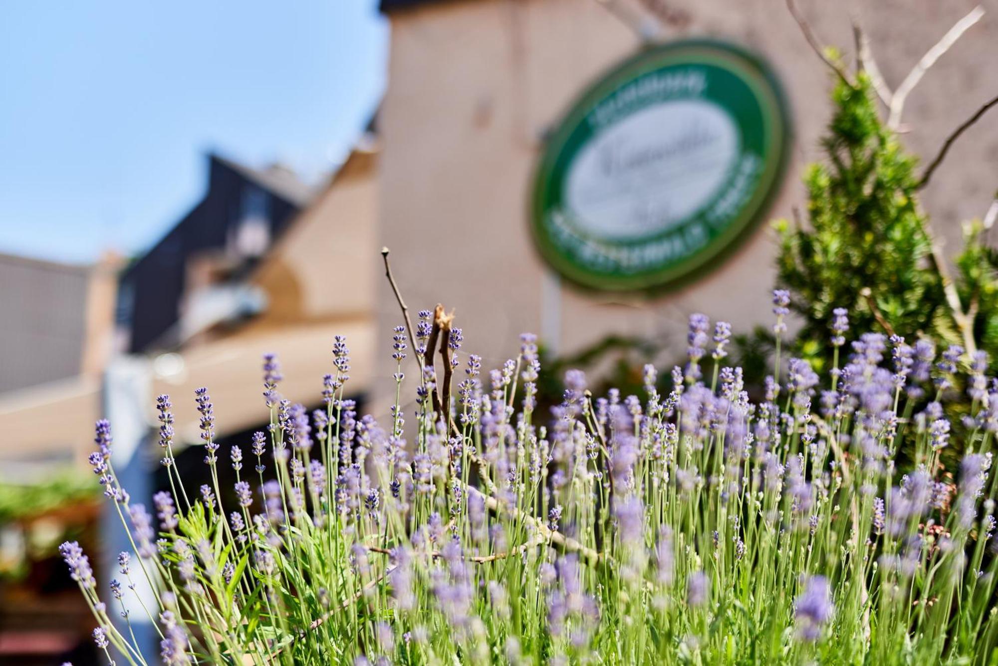 Hotelpark Der Westerwald Treff Oberlahr Exterior photo